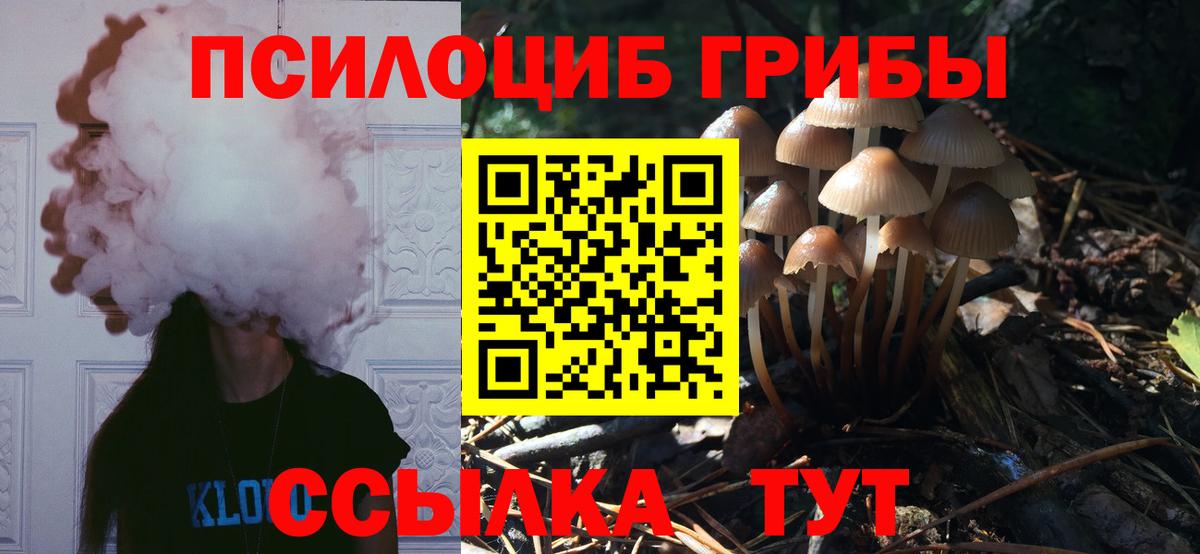 Галлюциногенные грибы мицелий  Псилоцибиновые грибы GOLDEN TEACHER  Вход с VPN  Горячий Ключ 