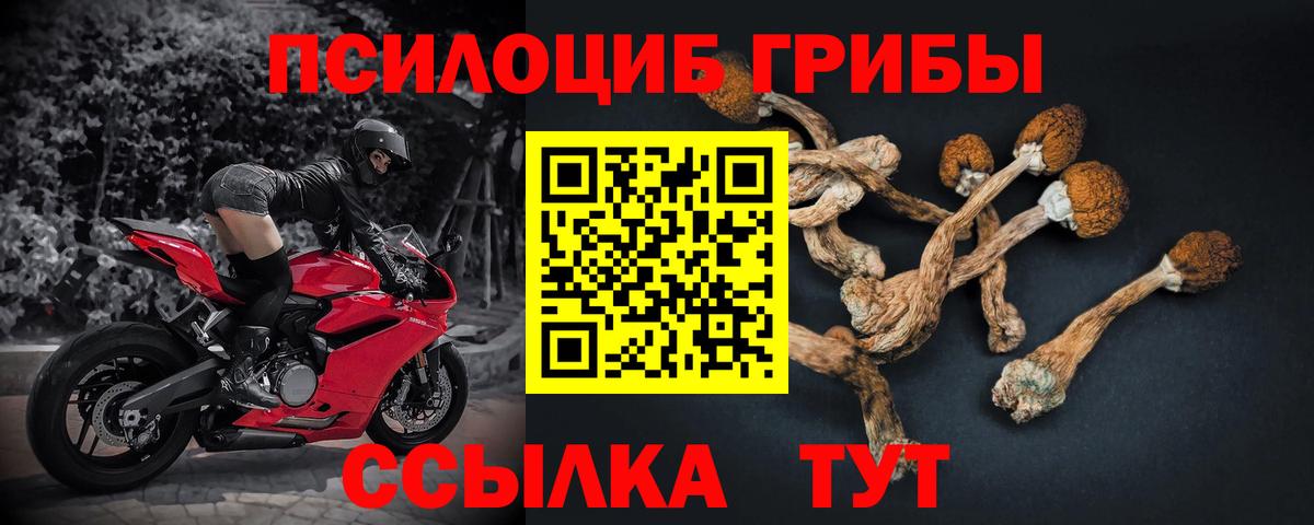 Галлюциногенные грибы MAGIC MUSHROOMS Горячий Ключ